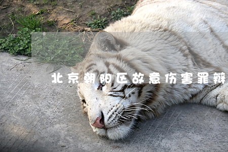北京朝阳区故意伤害罪辩护律师网 北京朝阳区故意伤害罪辩护律师网