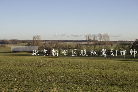 北京朝阳区股权筹划律师怎么请 北京朝阳区股权筹划律师怎么请