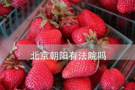 北京朝阳有法院吗 北京朝阳有法院吗