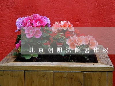 北京朝阳法院著作权 北京朝阳法院著作权