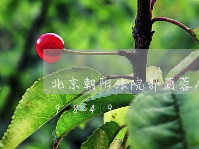 北京朝阳法院郭莉蓉/2023021839849 北京朝阳法院郭莉蓉/2023021839849