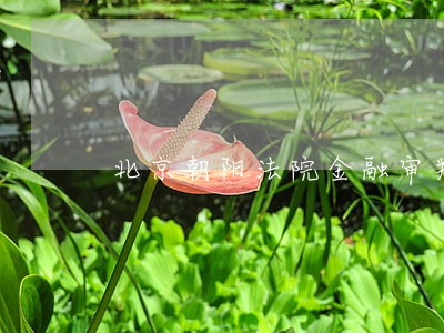 北京朝阳法院金融审判庭