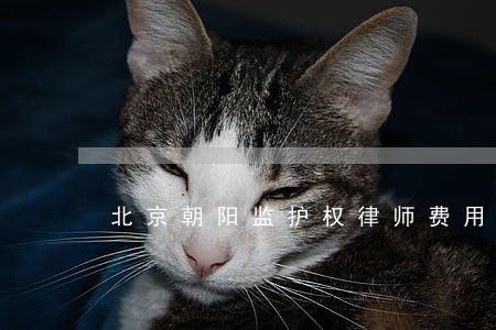 北京朝阳监护权律师费用 北京朝阳监护权律师费用