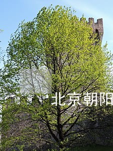 北京朝阳破产清算律师委托收费 北京朝阳破产清算律师委托收费