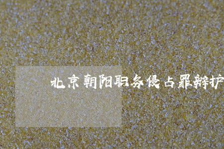 北京朝阳职务侵占罪辩护律师 北京朝阳职务侵占罪辩护律师
