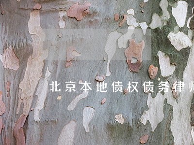 北京本地债权债务律师一般多少钱 北京本地债权债务律师一般多少钱