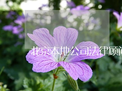 北京本地公司法律顾问 北京本地公司法律顾问