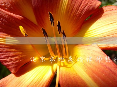 北京本地离婚律师热线 北京本地离婚律师热线