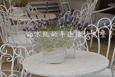 北京机动车违法信息登不上