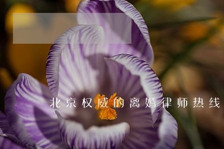 北京权威的离婚律师热线 北京权威的离婚律师热线