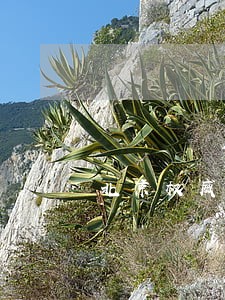 北京权威离婚律师 北京权威离婚律师