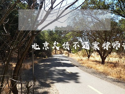 北京欠债不还案律师咨询免费