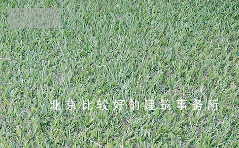 北京比较好的建筑事务所 北京比较好的建筑事务所