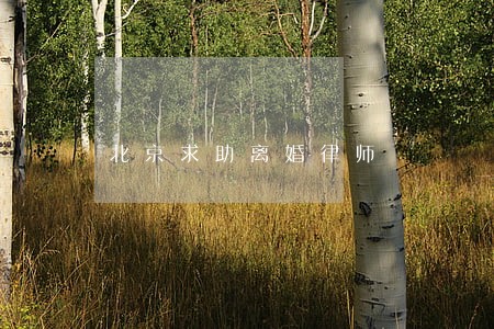 北京求助离婚律师 北京求助离婚律师