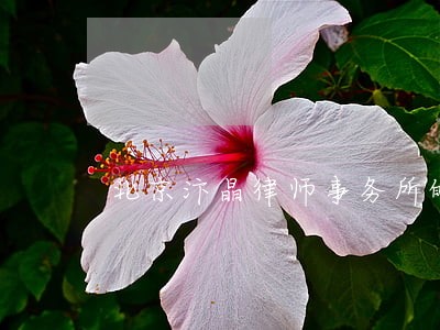 北京汴晶律师事务所的电话号吗 北京汴晶律师事务所的电话号吗