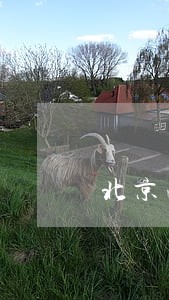 北京法律咨询服务事务所 北京法律咨询服务事务所