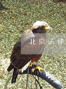 北京法律援助律师申请 北京法律援助律师申请