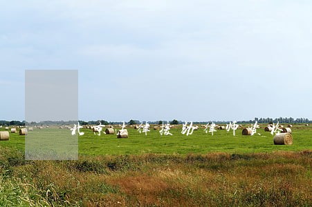 北京法律援助律师资格 北京法律援助律师资格