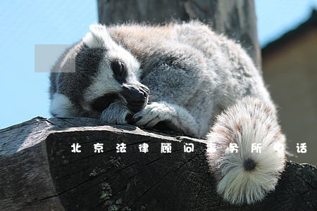 北京法律顾问事务所电话