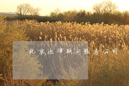 北京法律顾问服务公司 北京法律顾问服务公司