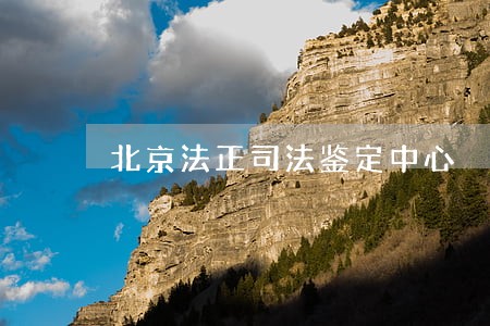 北京法正司法鉴定中心 北京法正司法鉴定中心
