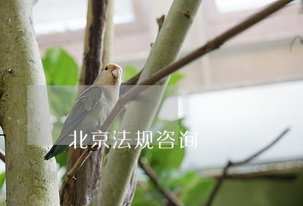 北京法规咨询 北京法规咨询