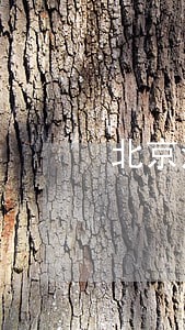 北京法院书记员待遇 北京法院书记员待遇