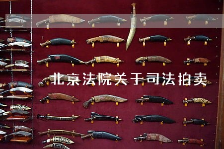 北京法院关于司法拍卖 北京法院关于司法拍卖