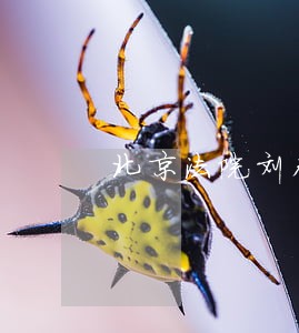 北京法院刘本德上海大学