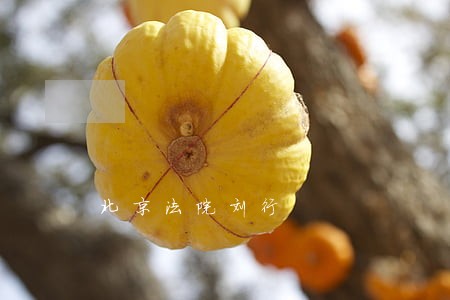 北京法院刘行 北京法院刘行
