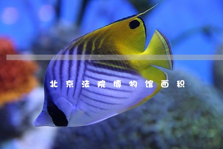 北京法院博物馆面积 北京法院博物馆面积