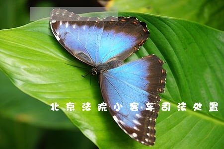 北京法院小客车司法处置平台 北京法院小客车司法处置平台