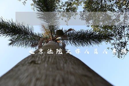 北京法院工作人员人事档案 北京法院工作人员人事档案