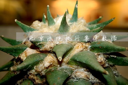 北京法院执行案件数据 北京法院执行案件数据