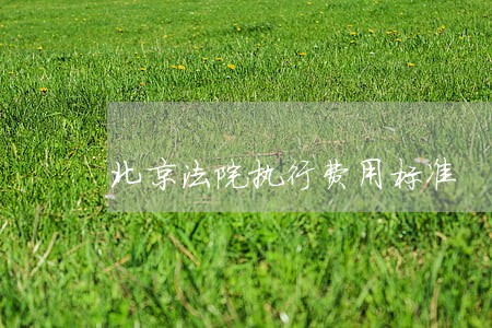 北京法院执行费用标准