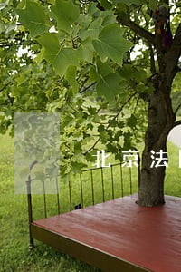 北京法院拍卖京牌车的照片 北京法院拍卖京牌车的照片
