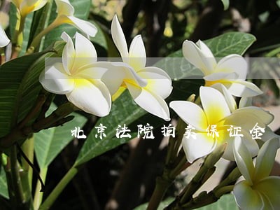 北京法院拍卖保证金 北京法院拍卖保证金