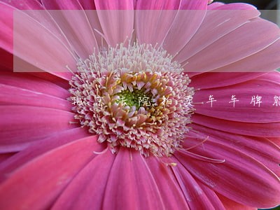 北京法院拍卖车车牌能过户 北京法院拍卖车车牌能过户