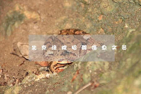 北京法院招聘信息文员 北京法院招聘信息文员