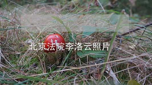 北京法院李洛云照片