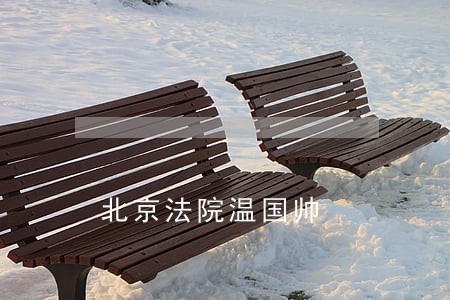 北京法院温国帅 北京法院温国帅