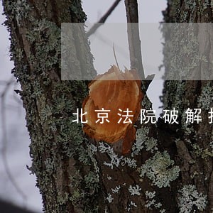 北京法院破解执行难 北京法院破解执行难