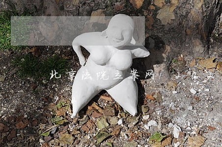 北京法院立案网/2023022028592
