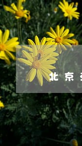 北京法院诉讼费是否缴费怎么查询 北京法院诉讼费是否缴费怎么查询