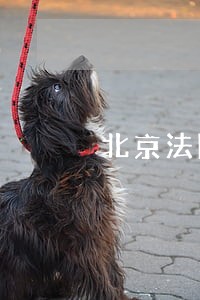 北京法院车辆拍卖系统 北京法院车辆拍卖系统