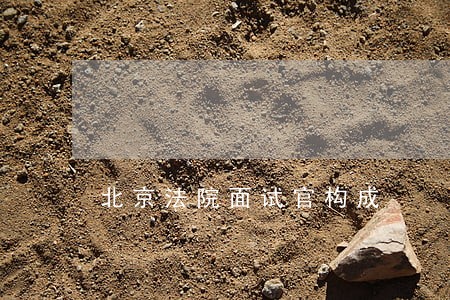 北京法院面试官构成