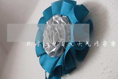北京法院首发大气污染禁令