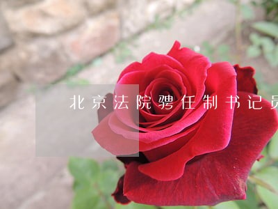 北京法院骋任制书记员管理办法