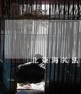 北京海关法规处综合科 北京海关法规处综合科