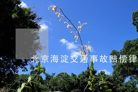 北京海淀交通事故赔偿律师